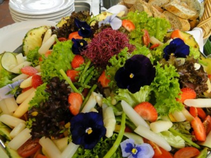 Foto: Altes Weinkellerchen